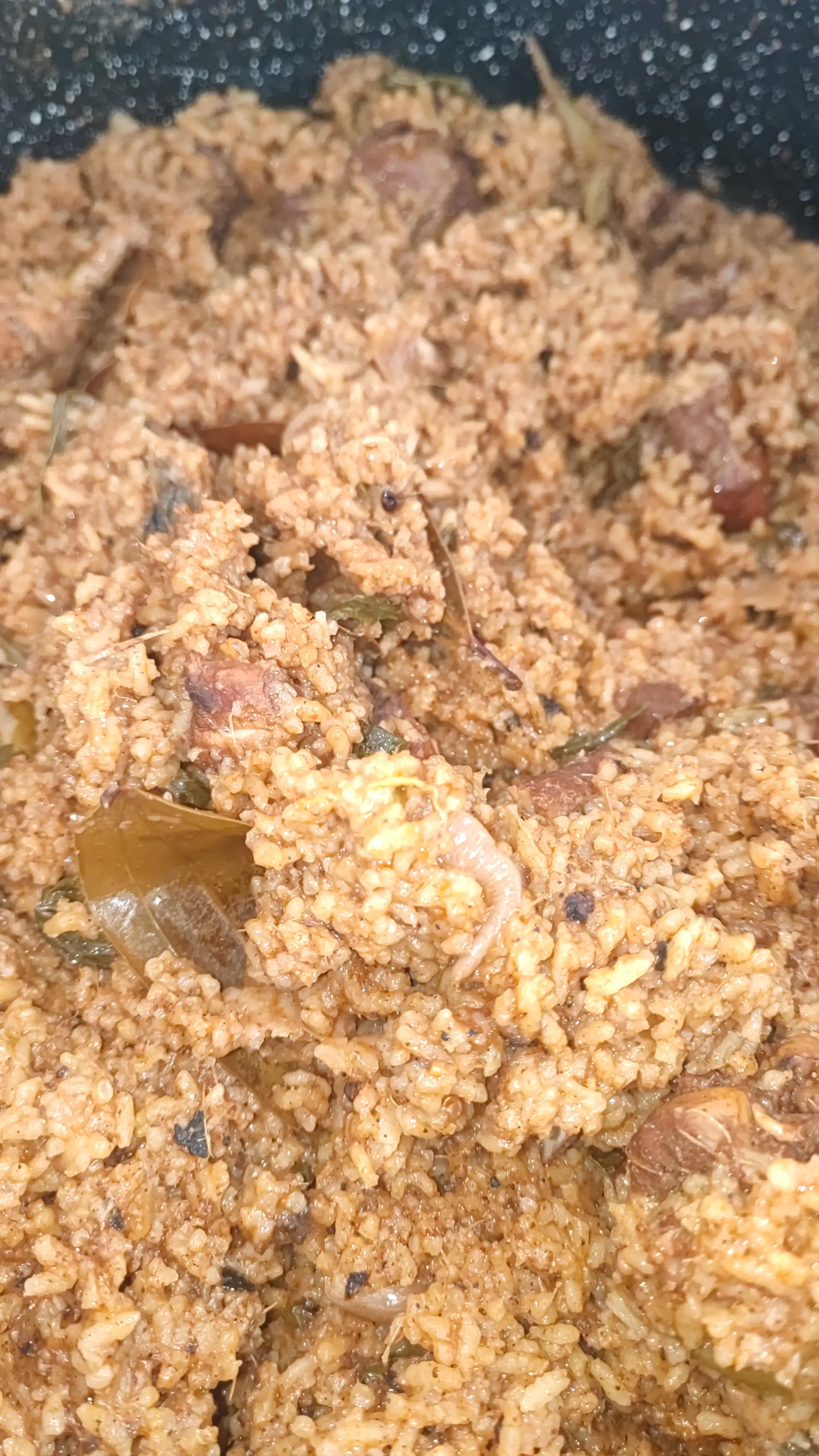 A cook's photo of Chicken Biryani