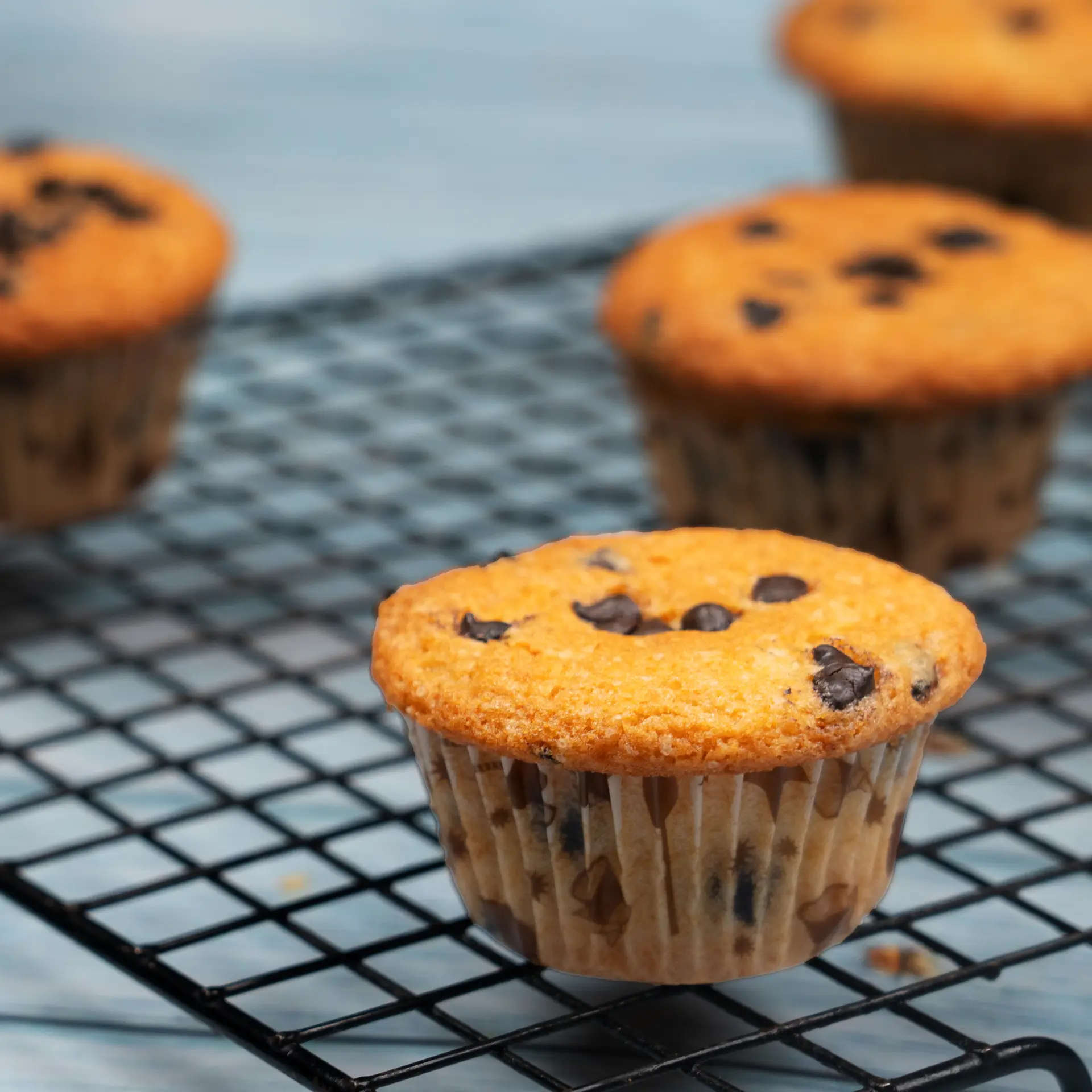 Chocolate Chip Muffins