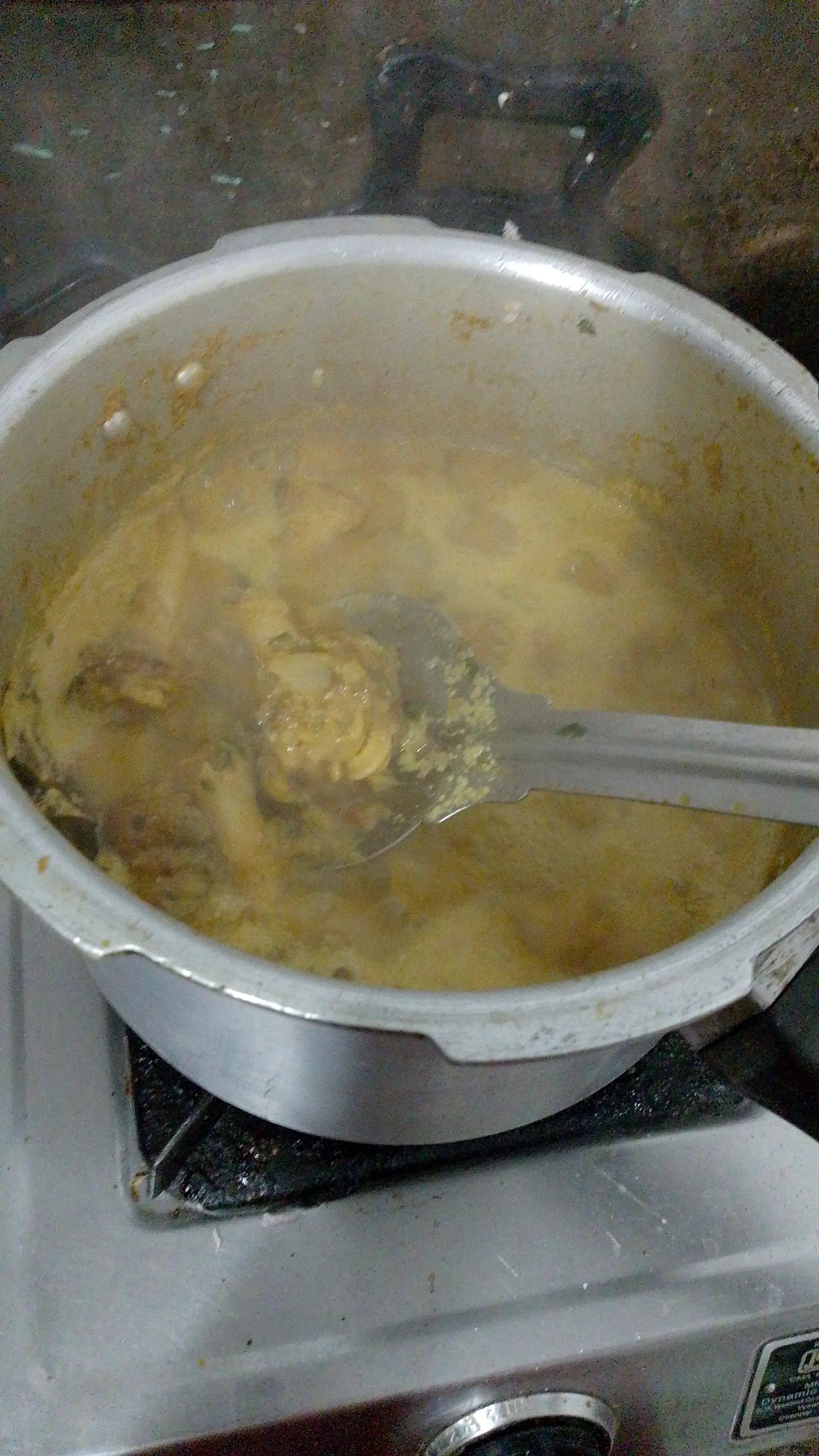 A cook's photo of Mutton Paya