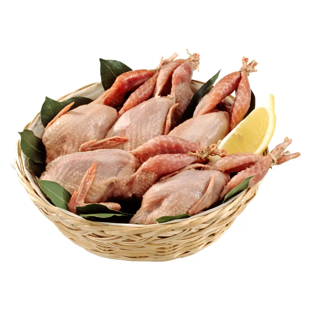 Quail