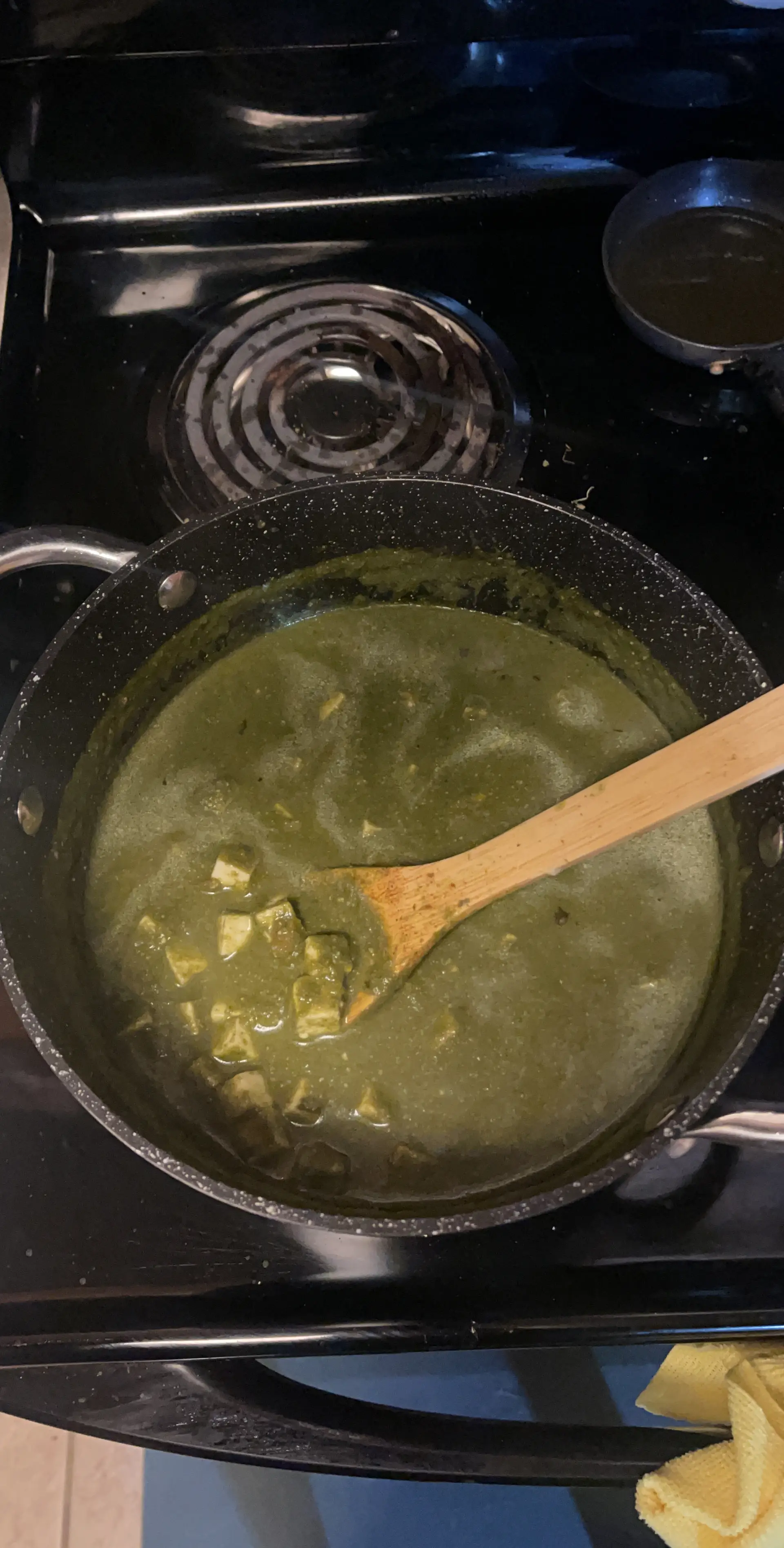 A cook's photo of Palak Paneer