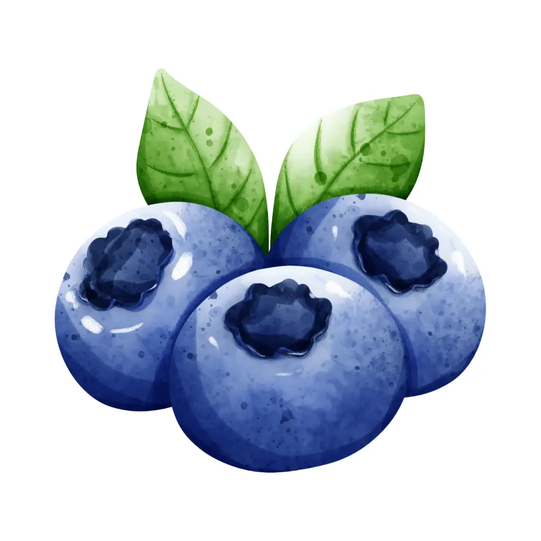 Blueberry