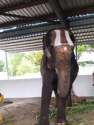 seethamahalakshmi